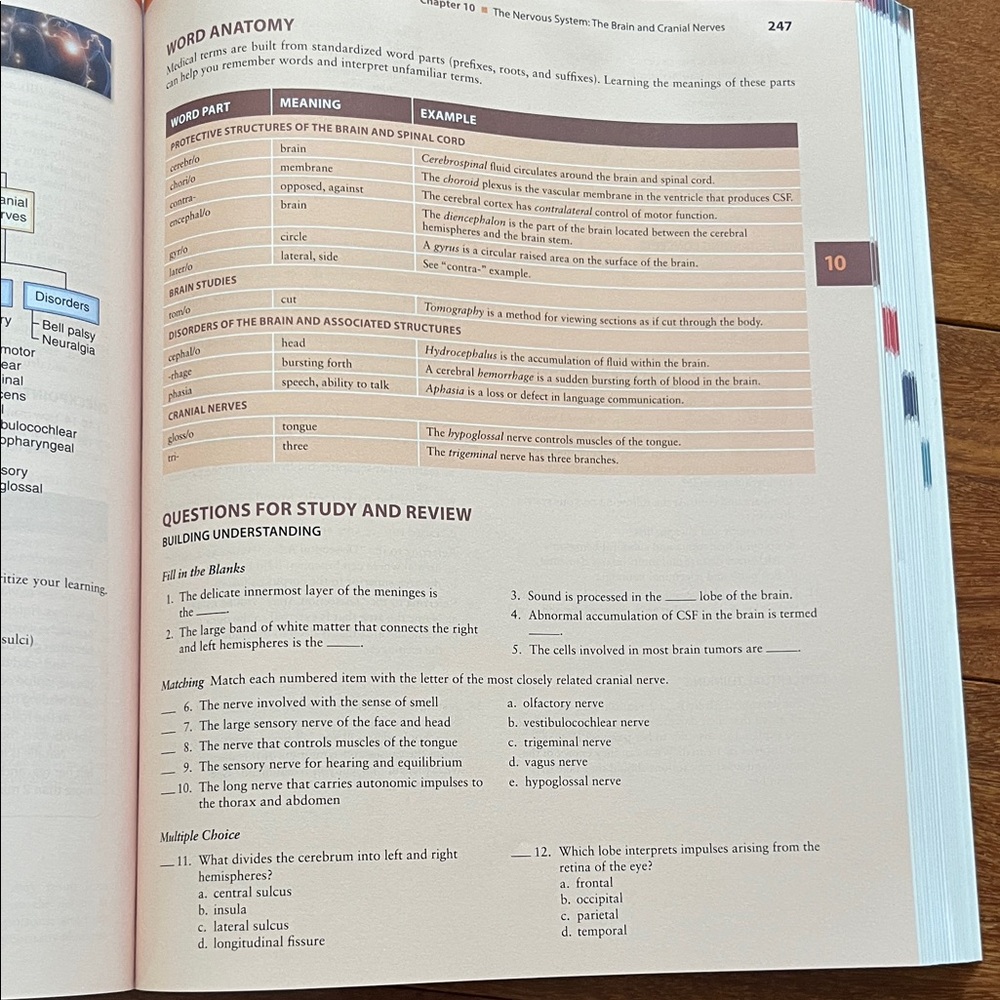 Human Body textbook - Picture 7 of 11